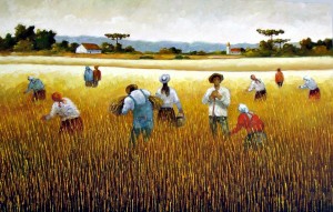 Colhendo trigo
