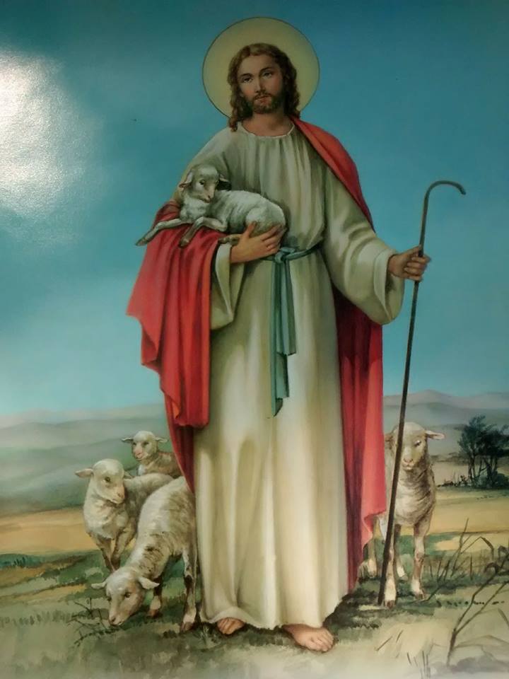 Ele e as ovelhas