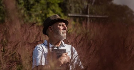 Um tal de capim gordura