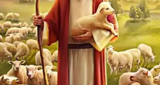 FB_IMG_1702463409119