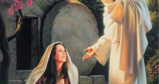 FB_IMG_1735292915579