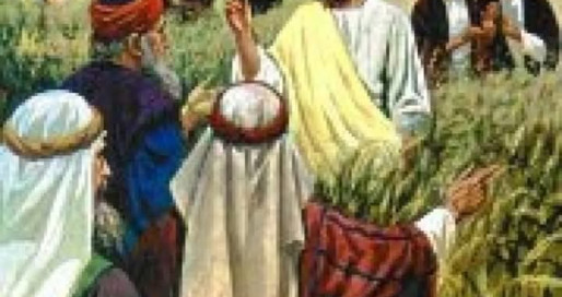 FB_IMG_1737452832041