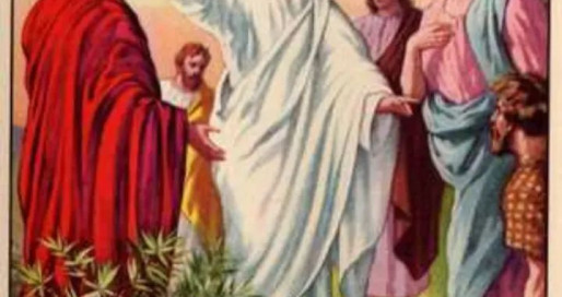 FB_IMG_1746351868711