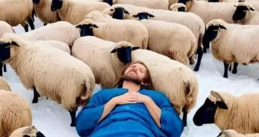 FB_IMG_1746956894017