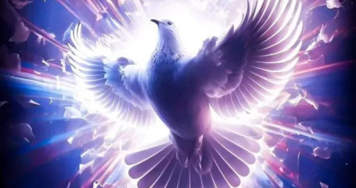 FB_IMG_1748164998856