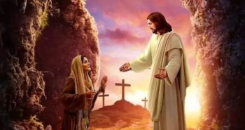 FB_IMG_1762075810113