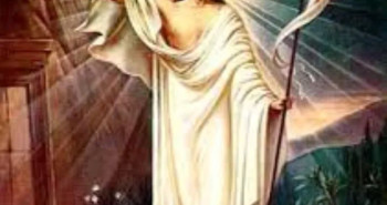 FB_IMG_1762162409829