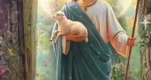 FB_IMG_1762420621863