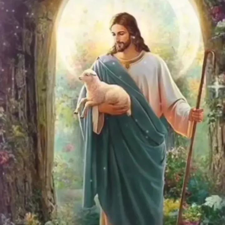 FB_IMG_1762420621863