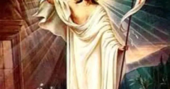 FB_IMG_1763802915580