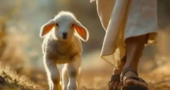 FB_IMG_1764495729561