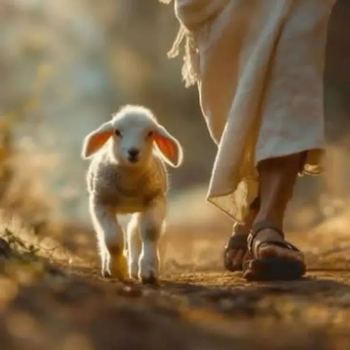 FB_IMG_1764495729561