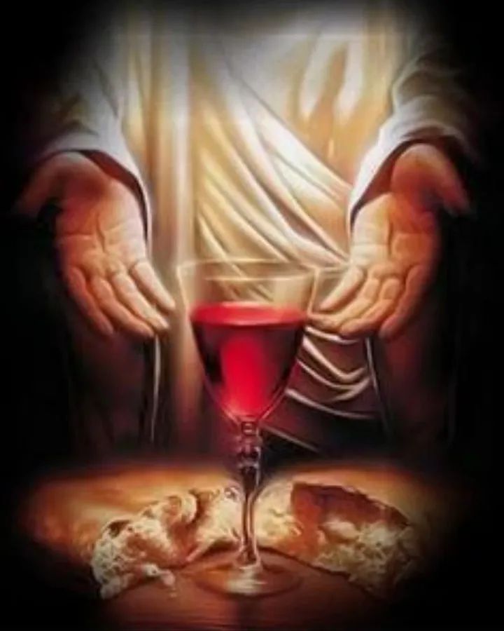 FB_IMG_1764753804724