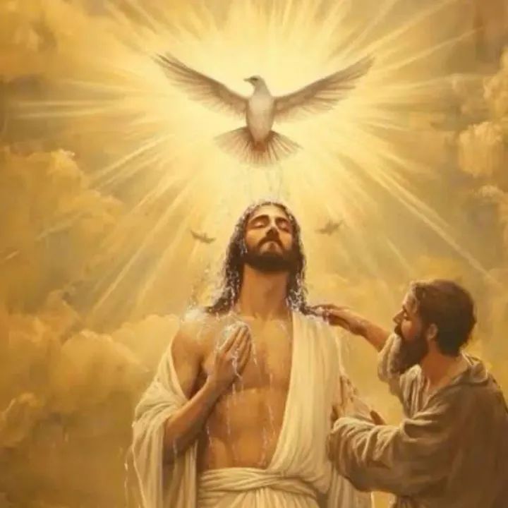 FB_IMG_1768738509643