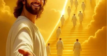 FB_IMG_1771144078544